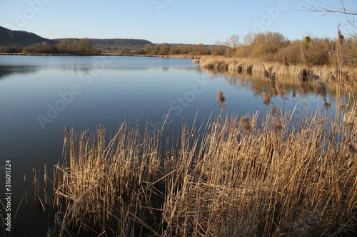 Roseli  re du lac de madine