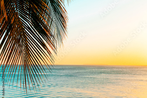 Fototapeta Naklejka Na Ścianę i Meble -  Coconut palm trees on beach at sunset.