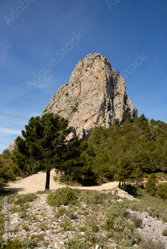 Mountain track up to the rocky peak of El Castellet in the Marina Alta, above Castell de Castells, Alicante Province, Spain photo