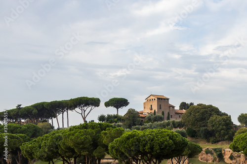 Photography Palatine Hill, Rome Italy