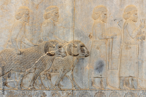 Bas reliefs in Persepolis, Iran