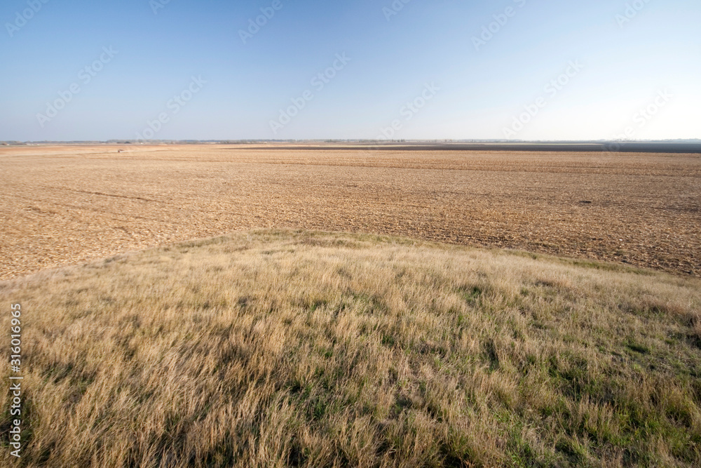 Fototapeta premium View of the Great Hungarian Plain in Hungary