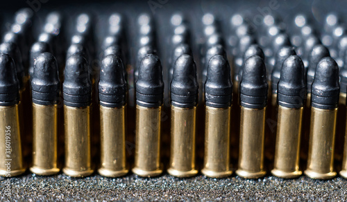 Rows of small 22 caliber bullets 