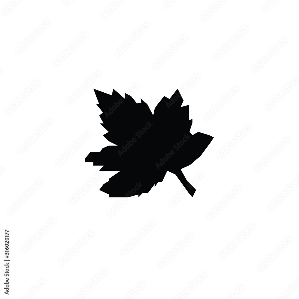 Obraz premium yellow maple leaf isolated on white background