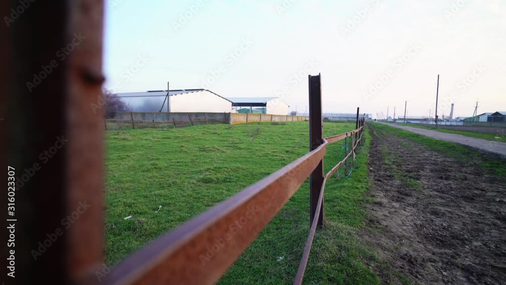 Corral for cows in the open. Empty corral with green grass. Metal fence. Milk farm. Lawn for grazing. Farm in the countryside. Corral for cows in the open. Empty corral with green grass. Metal fence. Milk farm. Lawn for grazing. Farm in the countryside.
