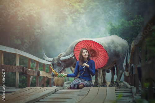 Beautiful woman Thai traditional culture with buffalo,Thailand