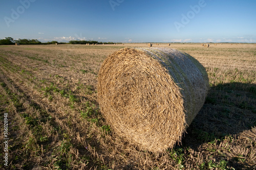 Straw bales on a harvested field in Hungary
