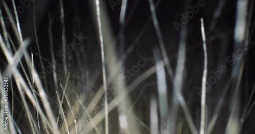 Flight through an array of fiber strands photo