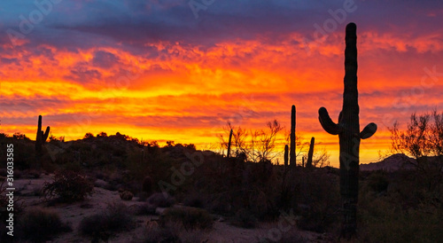 Arizona Desert Landscape Sunset Near Phoenix