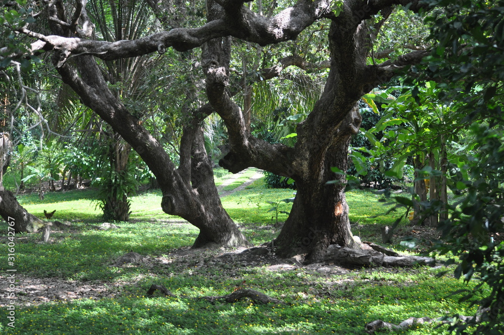 Guanaja, Honduras