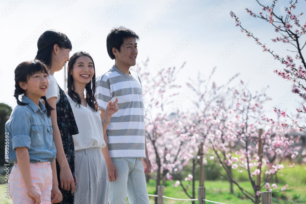 お花見をする家族のポートレート お花見をする家族のポートレート
