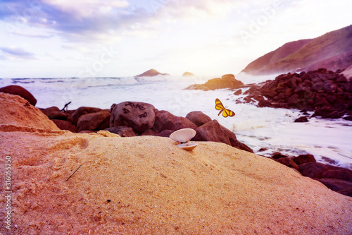 Monarch Butterfly Flying Out Of Open Sea Shell On Beautiful Ocean Shore At Sunset Creative Concept