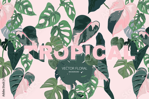 Background for social media decorate with summer leaf 