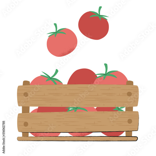 red tomatoes in a wooden box. on white backgroud. sketchy cute cartoon style with texture. gardening illustration