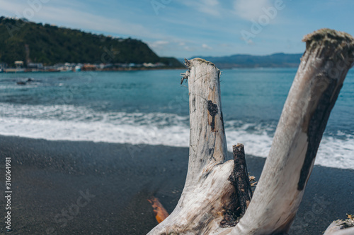 Dead wood on the beach  dead tree on the beach © joeycheung