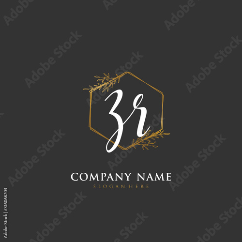 Handwritten initial letter Z R ZR for identity and logo. Vector logo template with handwriting and signature style.
