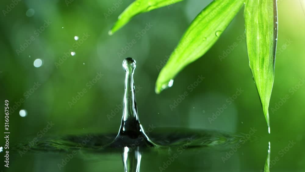 Super slow motion of dropping water with palm leaf, spa and wellness concept. Filmed on very high speed cinema camera, 1000 fps.