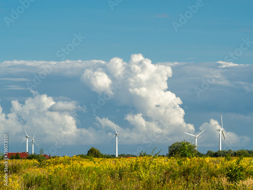 Wind turbine farm at the field with stormy clouds. Wind power for electricity, clean energy. Baltic coast photo