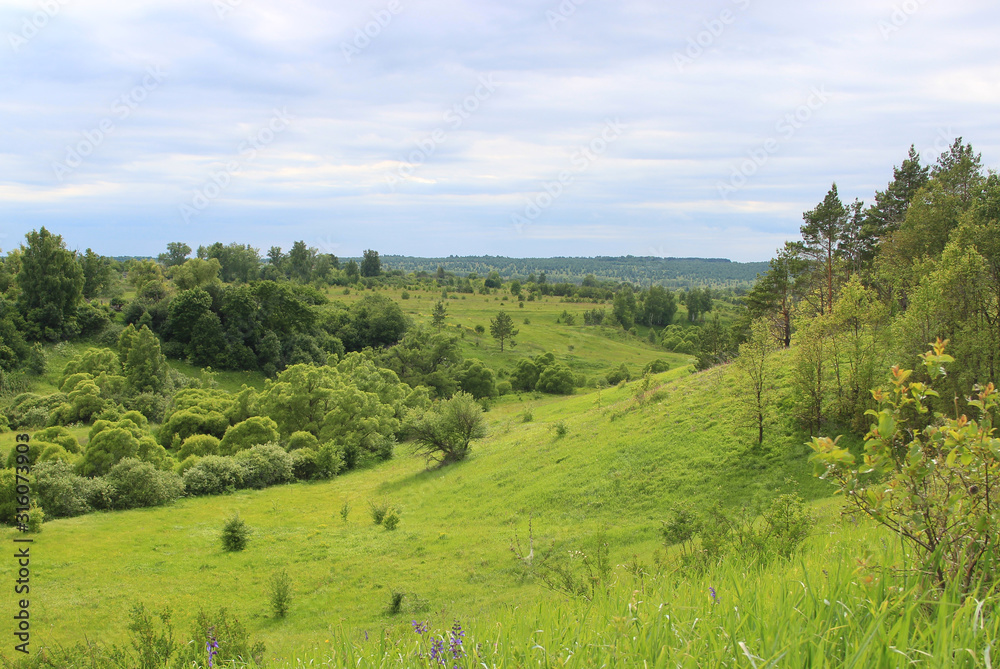 The hilly area is full of greenery. The forest is visible in the distance.