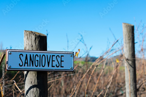 Sangiovese wine grape variety sign on wooden vertical end post