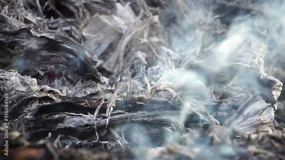 The problem of forest fires that have occurred in Australia severely footage slow motion The problem of forest fires that have occurred in Australia severely footage slow motion