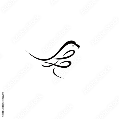  creative canary bird vector illustration