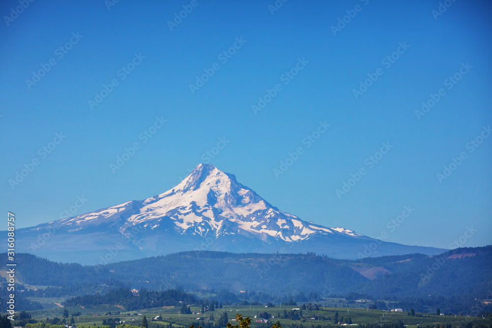 Mt Hood