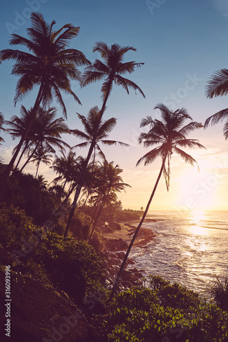 Tropical island at sunrise, color toned picture, Sri Lanka.