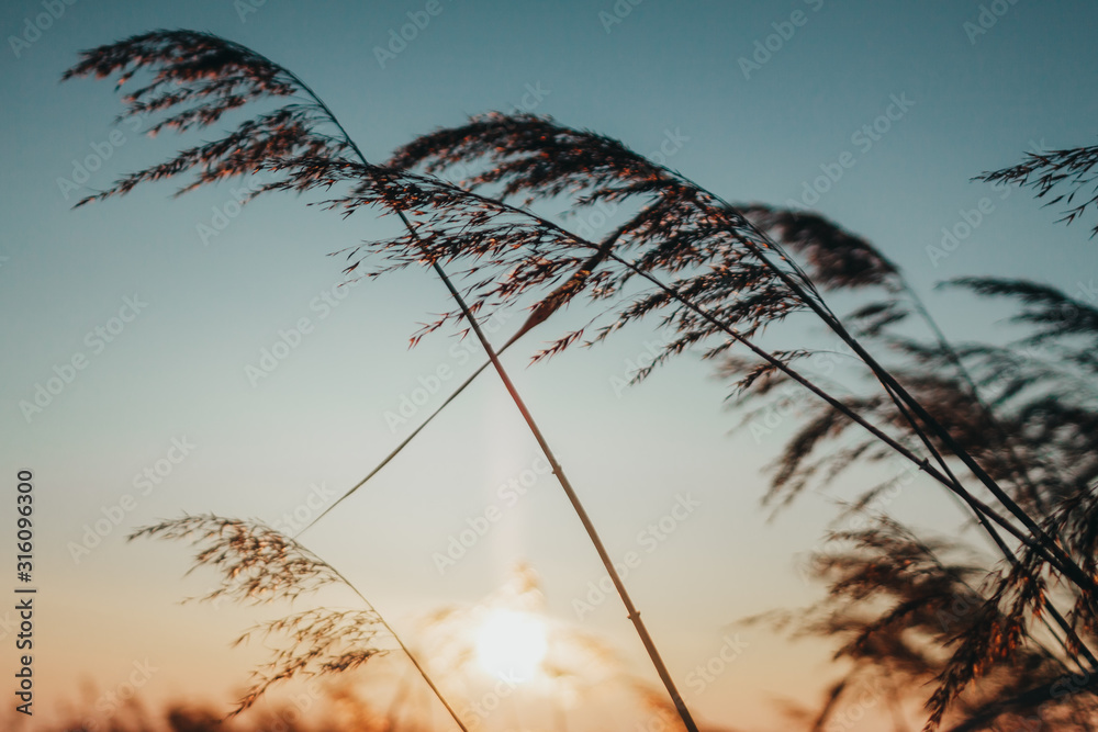 Fototapeta premium Nature of the Far East. Winter sunset on the shore of the Bay
