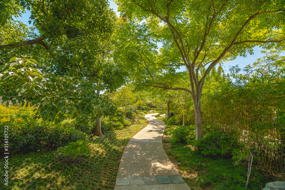 Footpath in the garden surrounded by trees Footpath in the garden surrounded by trees
