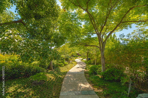 Footpath in the garden surrounded by trees