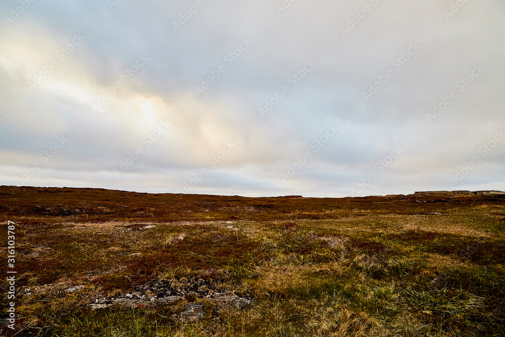 Tundra landscape in the north of Norway or Russia
