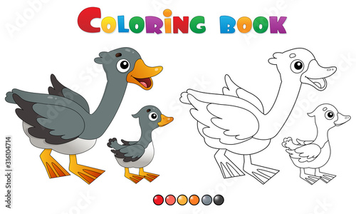 Coloring Page Outline of cartoon goose with gosling. Farm animals. Coloring book for kids.