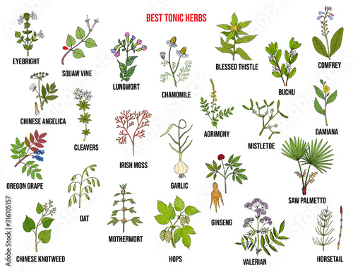 Best tonic herbs collection