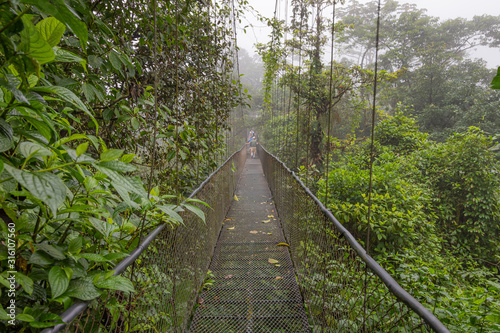 View of Cloud Forest Canopy Walkway, with suspended bridge at natural rainforest park in Costa Rica.