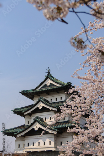 弘前城の桜 © smoke