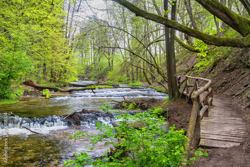 Szumy na Tanwi (Cascades on Tanew River) Roztocze (Roztochia), Roztoczanski Park  Narodowy (Roztocze National Park), Poland photo