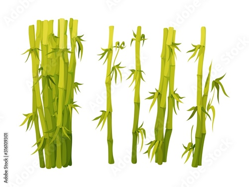 Bamboo green decoration elements in flat style