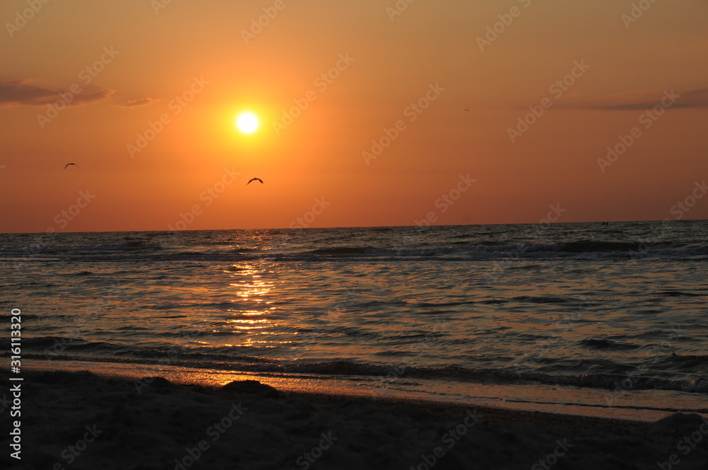 Vacation on sea with waves and seagulls Vacation on sea with waves and seagulls