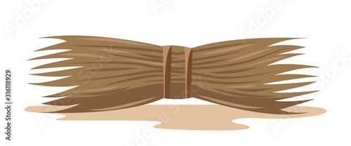indian cattle feed isolated vector