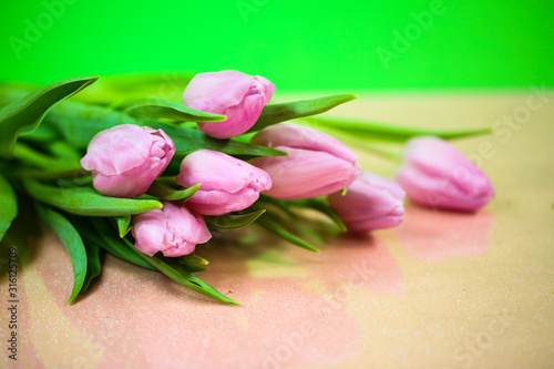 tulips with green background, valentines day, mothers day, spring time