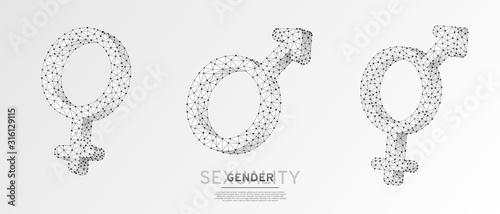 Male and female gender symbol set. Wireframe digital 3d vector illustration. Low poly, men and women, hetero-sexuality concept on white origami background. Abstract polygonal LGBT sign
