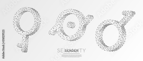 Demigirl, Demiboy, Epicene symbols set. Wireframe 3d vector illustration. Low poly, non-binary, hermaphrodite, bisexual people rights concept on white origami background. Abstract polygonal LGBT sign