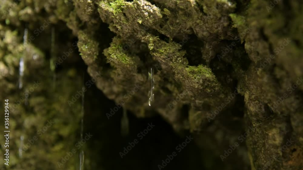 Drops of water dripping from stones with moss in crevice. Closeup, soft focus Drops of water dripping from stones with moss in crevice. Closeup, soft focus