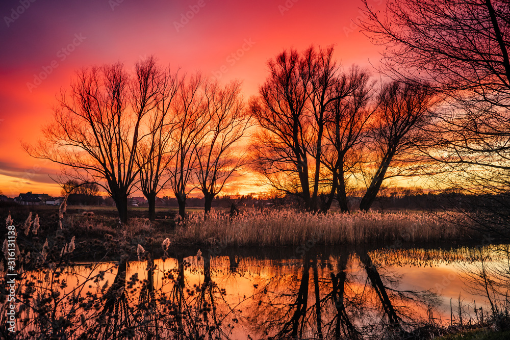 Obraz premium czerwony ognisty zachód słońca i drzewa bez liści