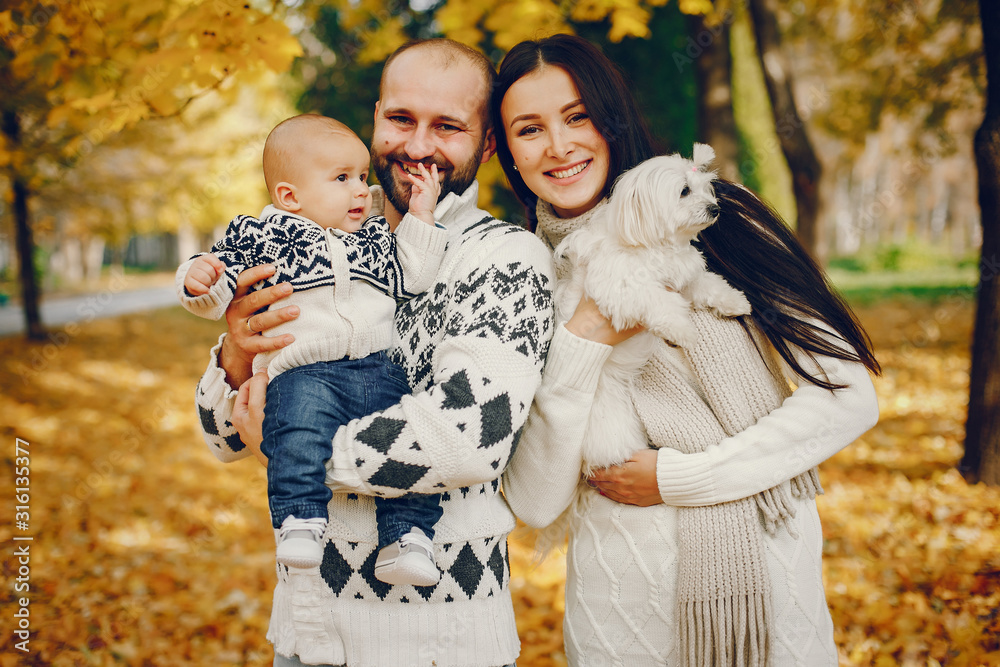 Family in a autumn park. Woman in a white sweater. Cute newborn little boy with parents Family in a autumn park. Woman in a white sweater. Cute newborn little boy with parents