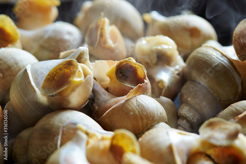 Korean fresh steamed seashell dish  photo