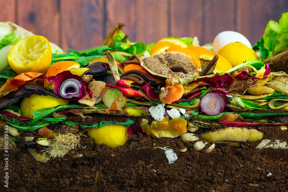 Naklejka premium Earthwoms living in a colorful compost heap consisting of rotting kitchen leftovers