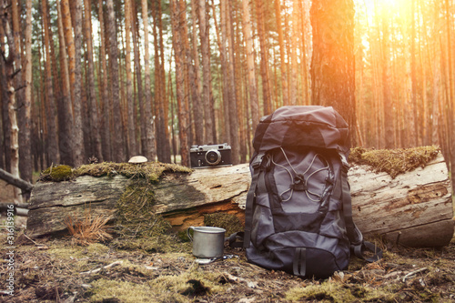 Tourist backpack, metal mug, camera in the forest. Concept of a hiking trip to the forest or mountains