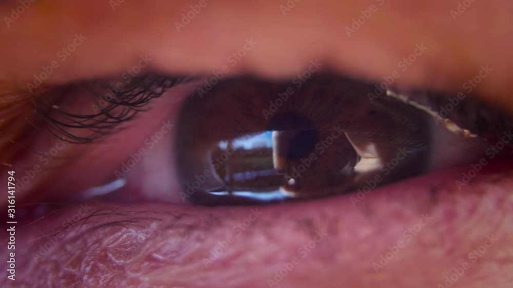 Eye in macro close up looking from left to right. Brown eye. Shot in 4K slow motion. 